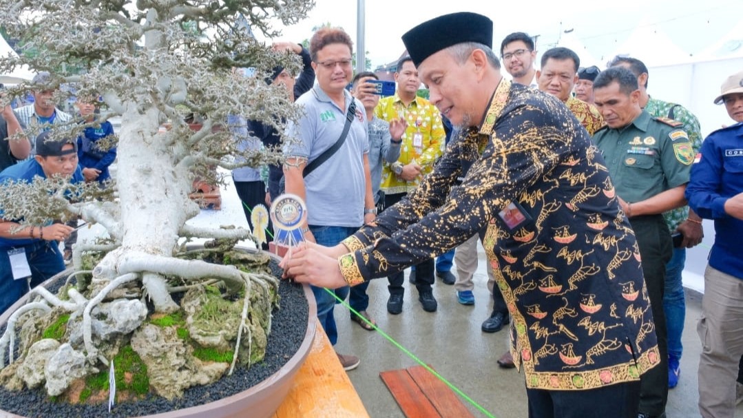 Agus Sanusi buka pameran dan kontes nonsai nasional tahun 2023, Kamis (30/11)