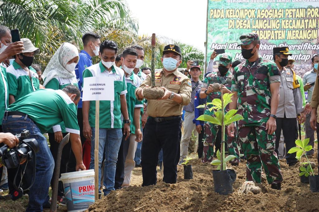 Gubernur Al Haris penanaman porang di Merangin
