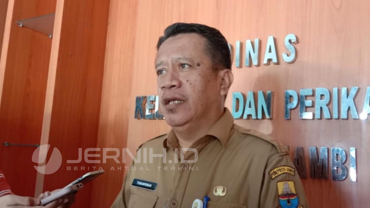 Kepala DKP Provinsi Jambi, Tema Wisman