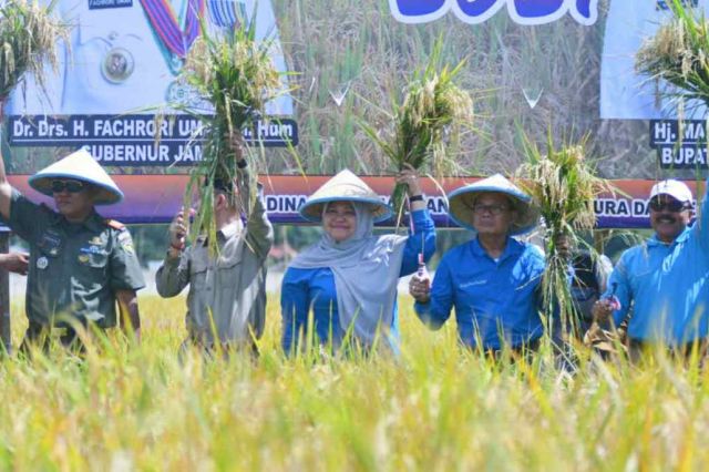Fachrori: Pemerintah Bersinergi Memacu Peningkatan Produksi Pangan