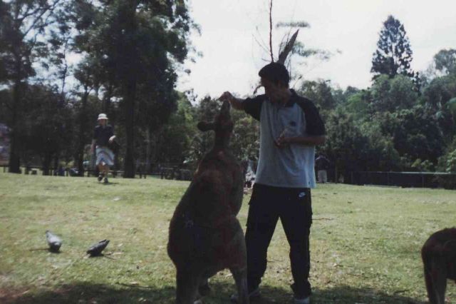 Kenapa Mudik atau Pulang Kampung