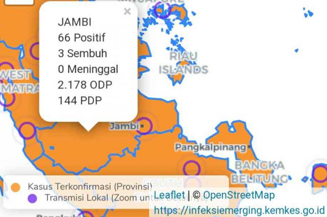 BREAKING NEWS: Pasien Positif Corona di Jambi Bertambah 1 Orang, Total 66 Kasus