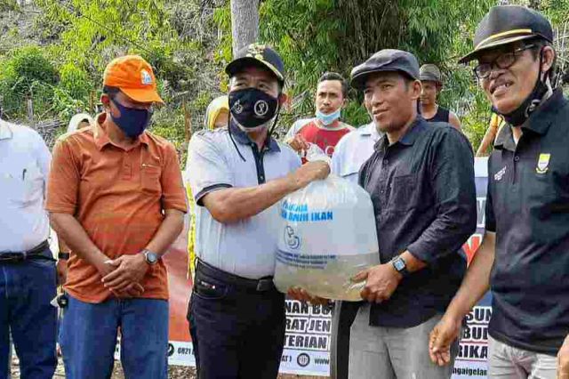 Wabup Mashuri Salurkan dan Tebar Benih Ikan Bantuan BPBAT