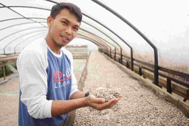 Koperasi Petani Koerintji Barokah Ekspor 15,9 Ton Kopi ke Belgia