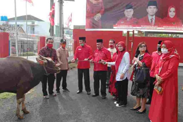 Ratu Munawaroh Serahkan Sapi Kurban ke PDI Perjuangan Jambi