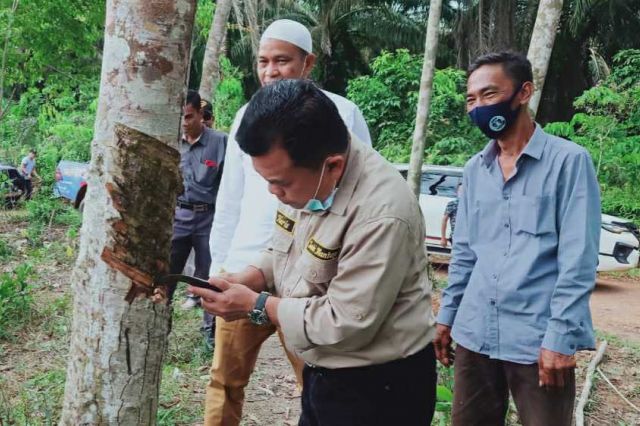 Rp 50 Miliar, Dana Dirancang Haris-Sani untuk Petani Karet-Sawit di Jambi