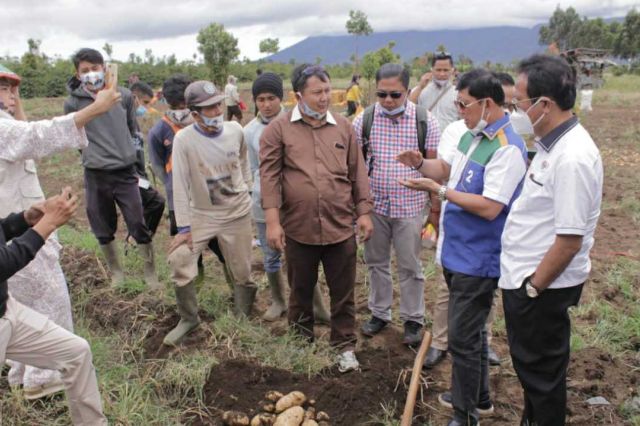 Tak Hanya Lihat Pabrik Kopi Arabika, Syafril juga Menyapa Petani Kentang Kayo Aro