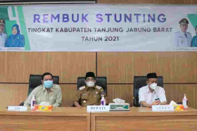 Bupati Tanjab Barat Hadiri Rembuk Stunting Tahun 2021