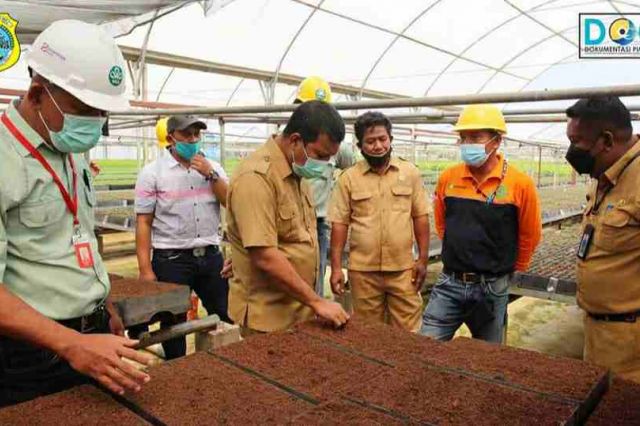 Pemkab Tanjab Timur Jalin Kerjasama dengan PT WKS Terkait Penyediaan Cocofed dan Sekam