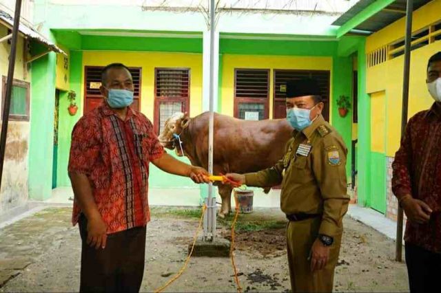 Gubernur Al Haris Serahkan Hewan Kurban di Mesjid Al Fallah Jambi
