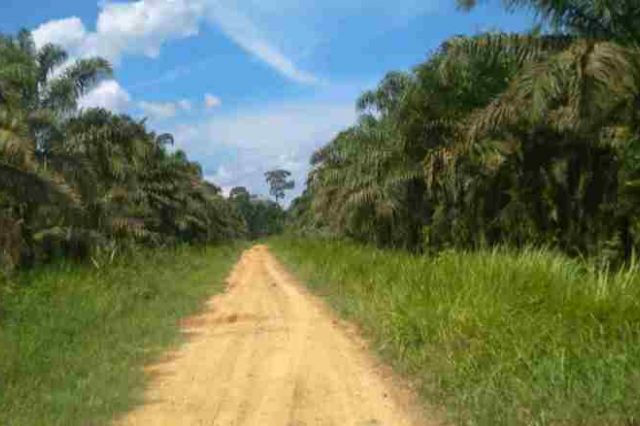 Menangkan Lelang, PT ISP Resmi Miliki Lahan Kawasan Perkebunan PT Kharisma Kemingking