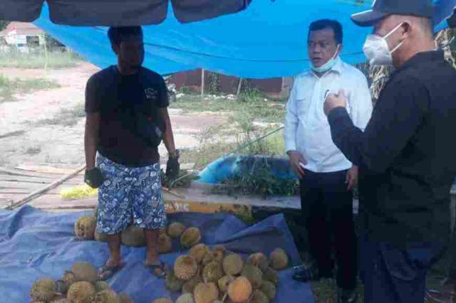 Opini Musri Nauli: Durian