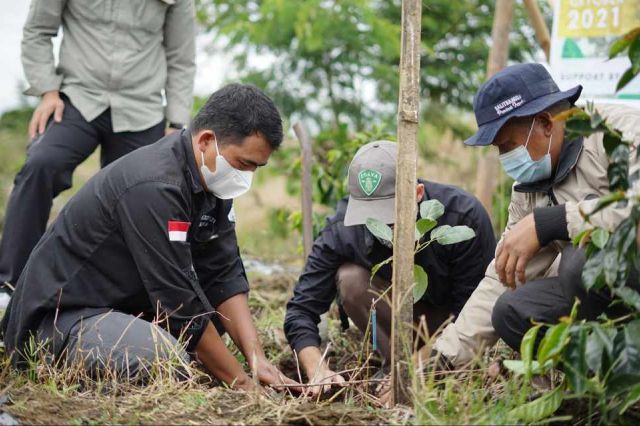 Koperasi Koerintji Barokah Tanam 600 Bibit Pohon di Taman Nasional Kerinci