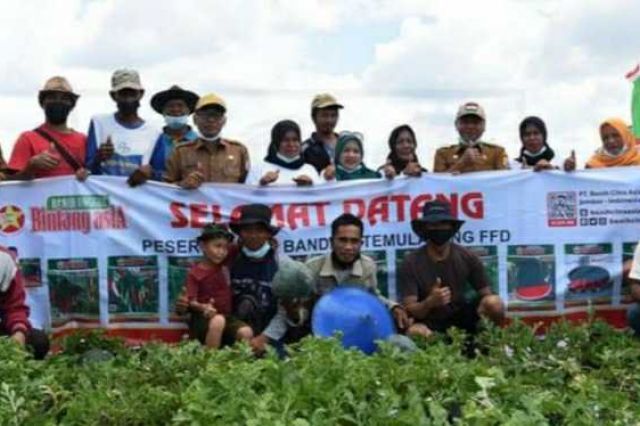Sekda Tanjab Timur Hadiri Panen Raya Poktan Mekar Melati Rantau Indah