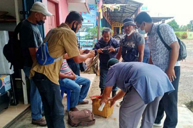Gakkum KLHK di Jambi Tangkap Warga Riau yang Membawa 8 Kg Sisik Trenggiling