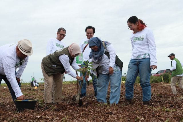 PT SAS dan Group Rehabilitasi Hutan Gambut Jambi Seluas 2 Ribu Hektar, Direktur Kemenhut: Ini Jadi Percontohan Nasional