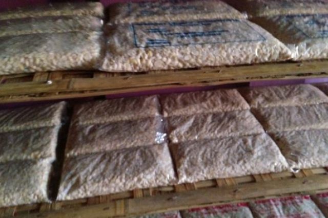 Harga Kedelai Naik, Puluhan Ribu Pengrajin Tempe Gulung Tikar
