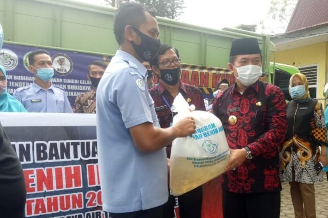 Tujuh Puluh Persen Kebutuhan Ikan di Merangin dari Luar Daerah