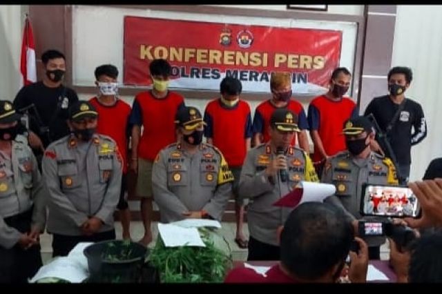 Dua Hektar Kebun Ganja di Gunung Masurai Dibongkar Polres Merangin