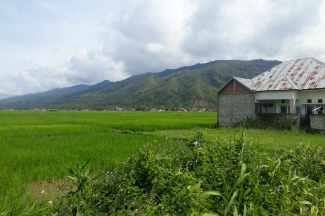 Warga Sungai Tutung Kerinci Butuh Peningkatan Jalan Renah Pemetik