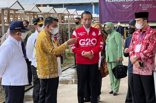 Edi Purwanto Dampingi Presiden Jokowi Kunjungan Kerja di Jambi