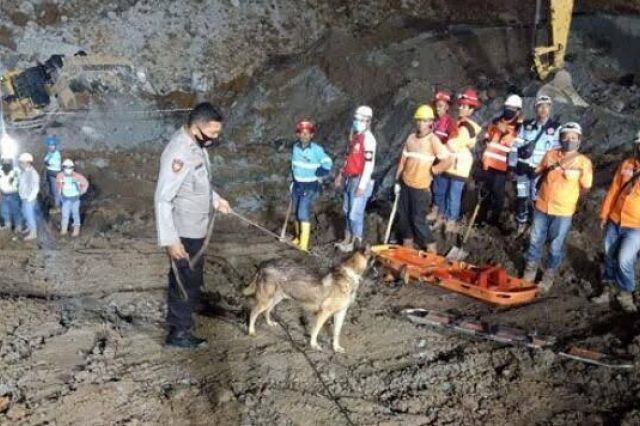 Polisi Masih Selidiki Longsor Area Tambang Batu Bara yang Sebabkan 2 Pekerja Meninggal