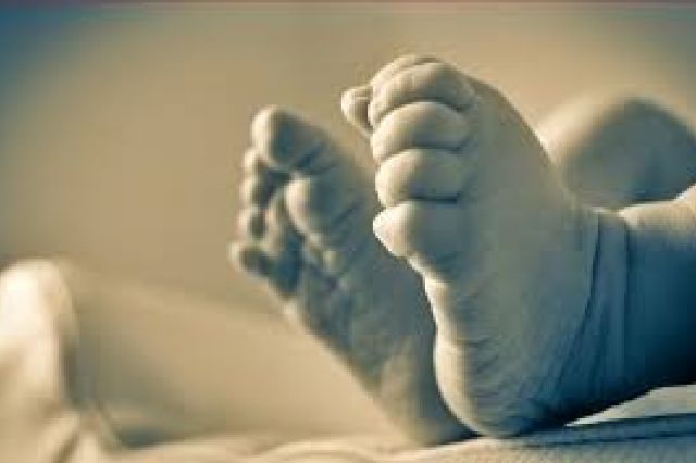 Dikira Bunyi Anak Kucing, Warga Temukan Bayi Perempuan di Masjid