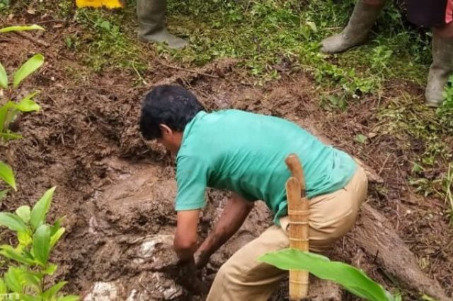 Gegara Buah Durian, Pria di Merangin Dihabisi dan Dikarungi
