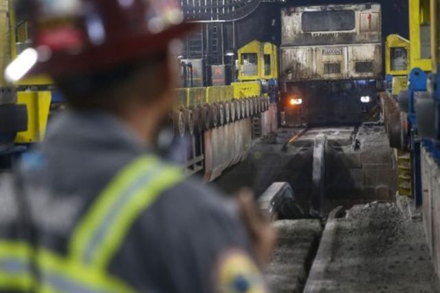 Freeport Buka Lowongan Kerja untuk S1: Cek Posisi, Syarat dan Cara Daftar