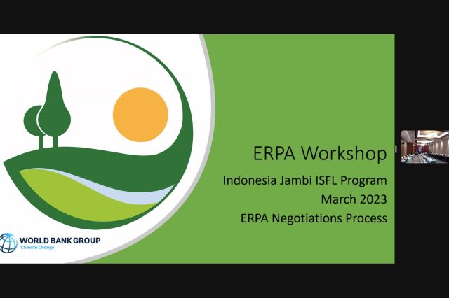 Opini Musri Nauli: Meminang Putri Cantik