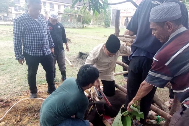 Hari Raya Idul Adha 1444 H: Sat Brimob Polda Jambi Sembelih 22 Hewan Kurban untuk Masyarakat