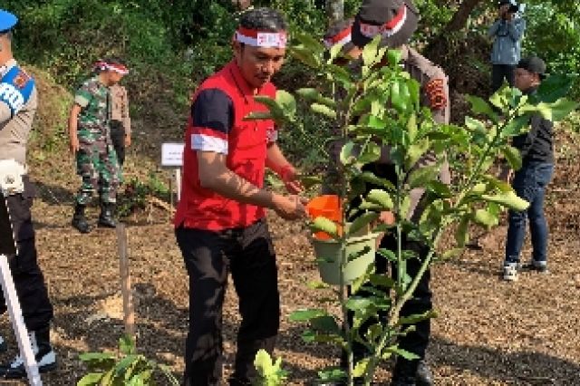 Tanam Pohon di Danau Sipin: Edi Purwanto Kampanyekan Penghijaun Sejak Dini