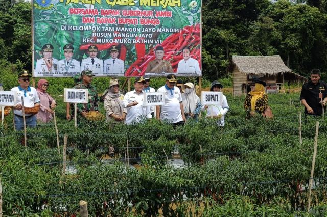 Program Dumisake Gubernur Al Haris: Gelontorkan  Rp 10,8 Miliar untuk Penguatan Pangan di Jambi