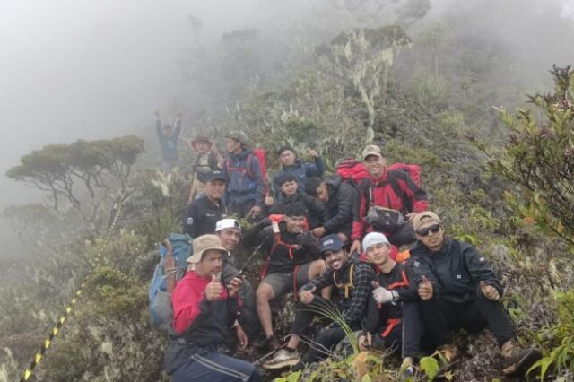 Jalur Pendakian Gunung Masurai Dibuka Penggiat Alam Renah Alai: Lintasi Taman Edelweis Hingga Istana Lumut