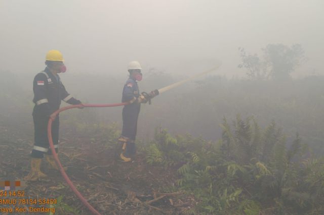SKK Migas – PetroChina Jabung Berperan Penting dalam Penanganan Karhutla Jambi