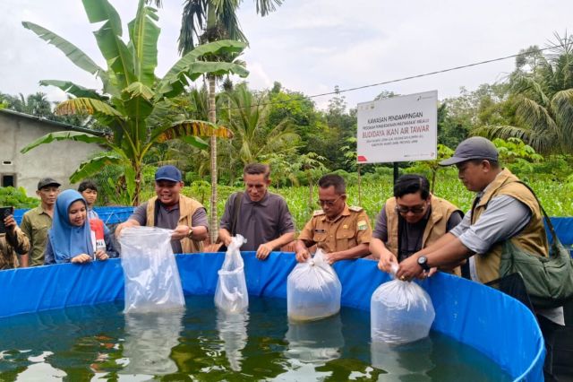 FJM Jambi Saksikan Kampung Bioflok Binaan Pertamina EP Jambi yang Dongkrak Ekonomi Warga