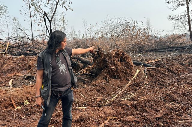 HLG Londerang Kembali Terbakar, Evaluasi Proyek Rehabilitasi Dipertanyakan?