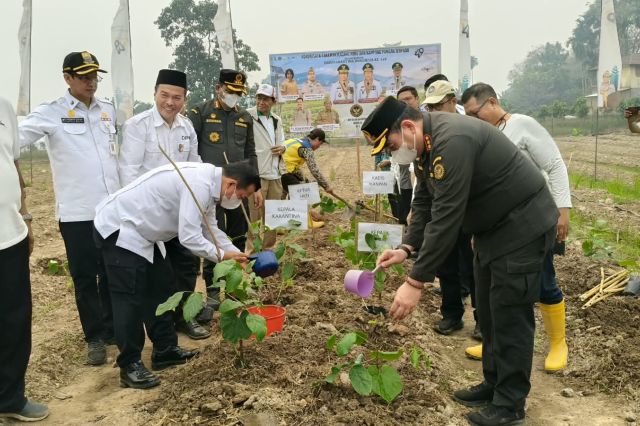 Pemprov Jambi Kembangkan Kacang Koro: Tekan Impor Kedelai Lewat Kampung Pangan Terpadu