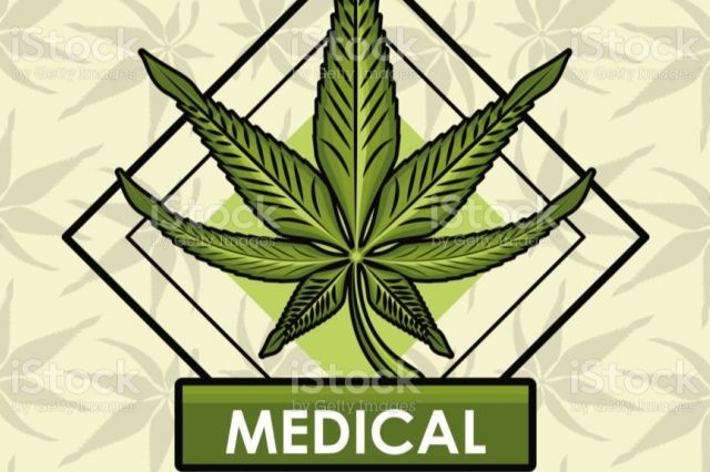 Pemerintah Siap Legalkan Ganja Medis Jika Berdampak Positif