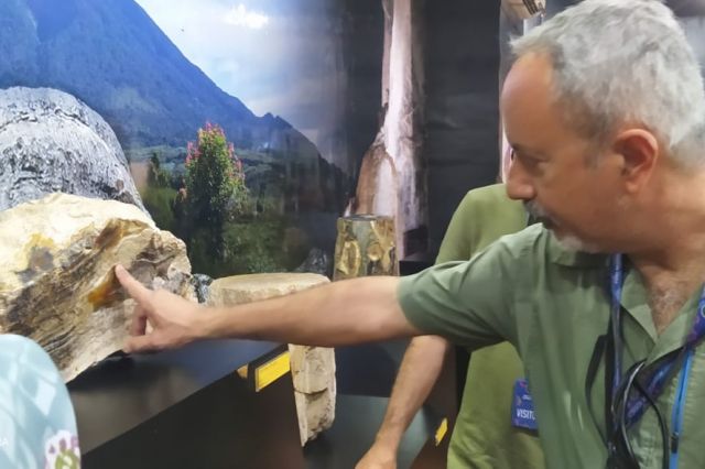 Decak Kagum Tim Evaluator UGG Saat Lihat Keunikan Batu Sungkai