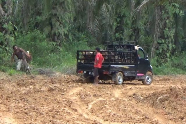 Meski Habis Diguyur Hujan, Warga Tetap Lalui Jalan Baru TMMD Bawa Hasil Perkebunan