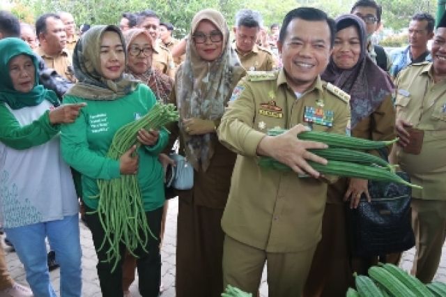 Gubernur Al Haris Launching Gerakan Pangan Murah Serentak di Batanghari