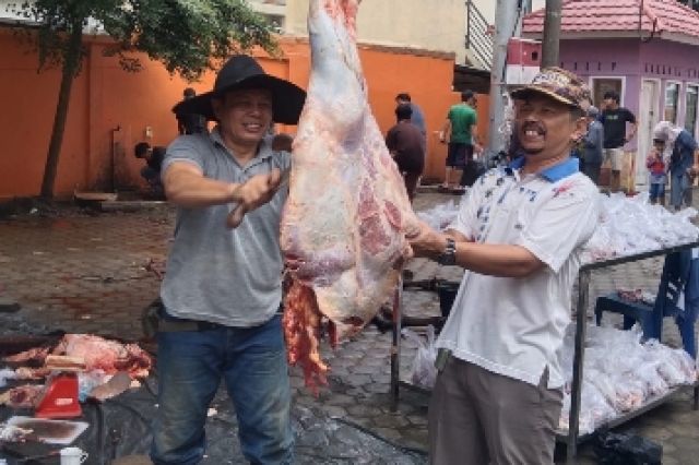 Keluarga Besar Disdik Provinsi Jambi Sembelih 5 Hewan Kurban