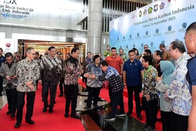 Opini Musri Nauli: Provinsi Jambi dan Bio Carbon Fund