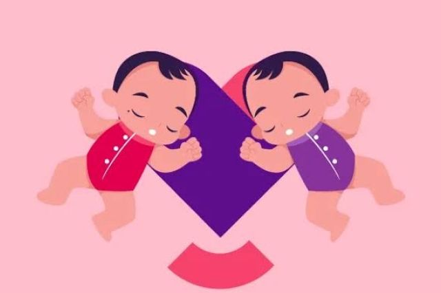Terkendala Biaya: Bayi Kembar Siam di Kuala Tungkal Belum Dirujuk ke Jakarta