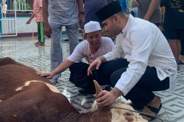 Rendra Usman Kurban Simental Buat Disembelih Warga Tanjab Barat