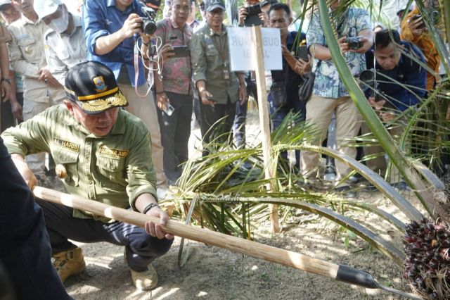 Gubernur Al Haris: Aksi Nyata PLTB Buahkan Hasil yang Memuaskan