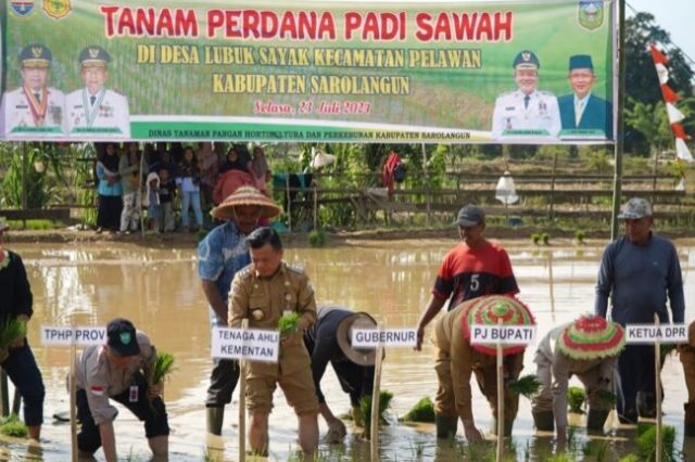 Tanam Padi Sawah di Lubuk Sayak, Gubernur Al Haris: Aksi Perkuat Ketahanan Pangan