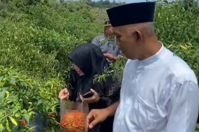 Bangkitkan Produksi Pertanian di Muaro Jambi, Sentot: Kita Akan Modernisasi Alat