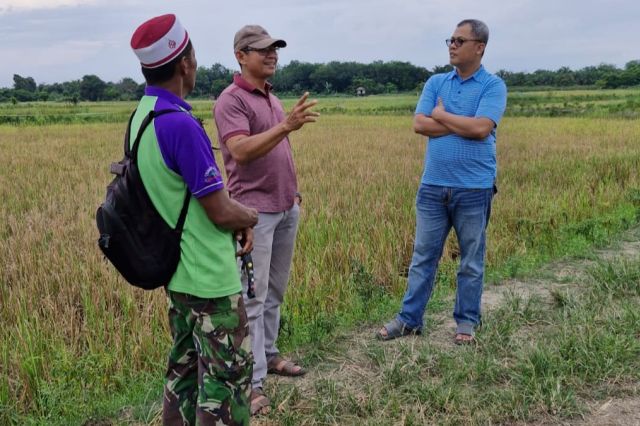 Dukung Swasembada Pangan: Muhammad Nasir Apresiasi Semangat Poktan di Kota Jambi Kelola Sawah